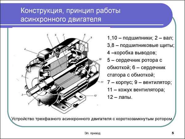 Асинхронный двигатель принцип работы и устройство